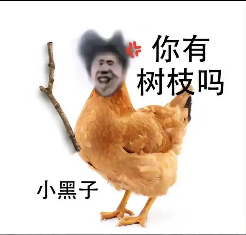 鸡你太美